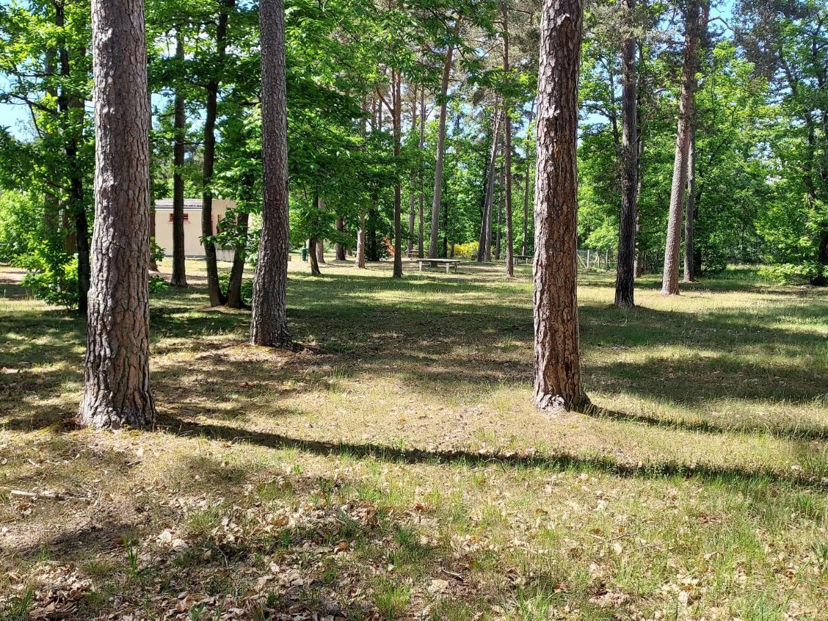Camping Onlycamp Les Pins Nancay المظهر الخارجي الصورة