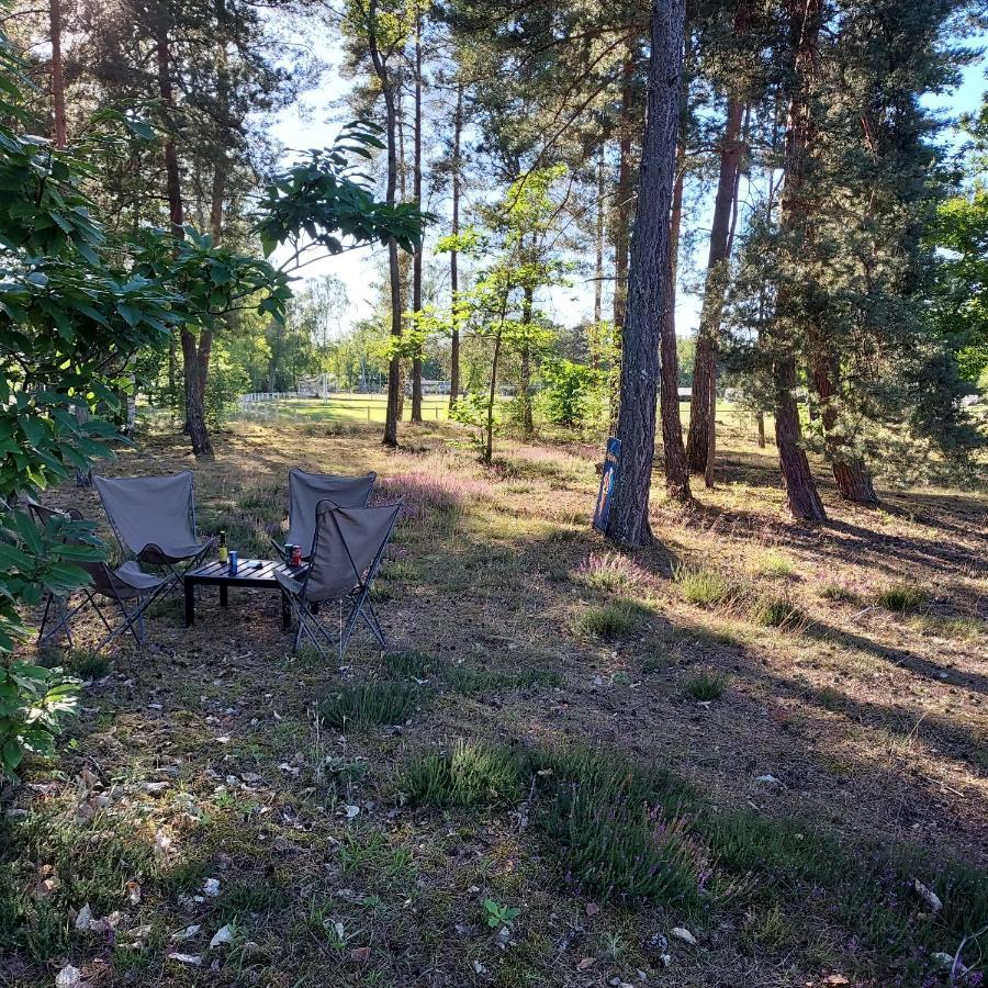Camping Onlycamp Les Pins Nancay المظهر الخارجي الصورة